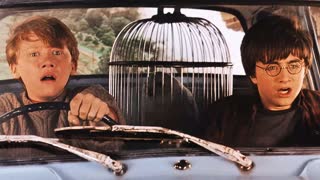 У вас что, глаза на затылке?! (Гарри Поттер и Тайная комната) [Полный экран]